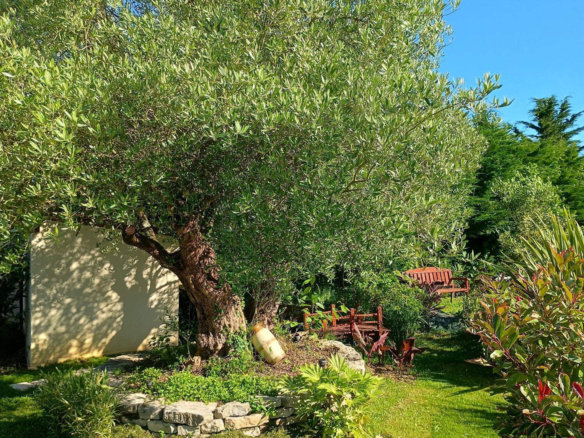 Gite Les Rosiers Au Domaine Des Sauvineries Saint-Germain-de-Princay Exterior photo
